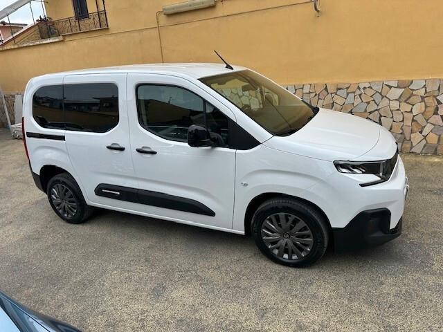 Citroen Berlingo BlueHDi 100 S&S Van M