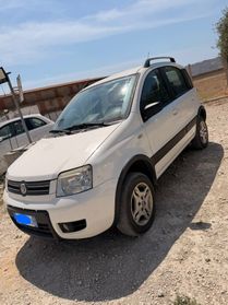 Fiat Panda 1.3 MJT 16V 4x4 Climbing anno 2009