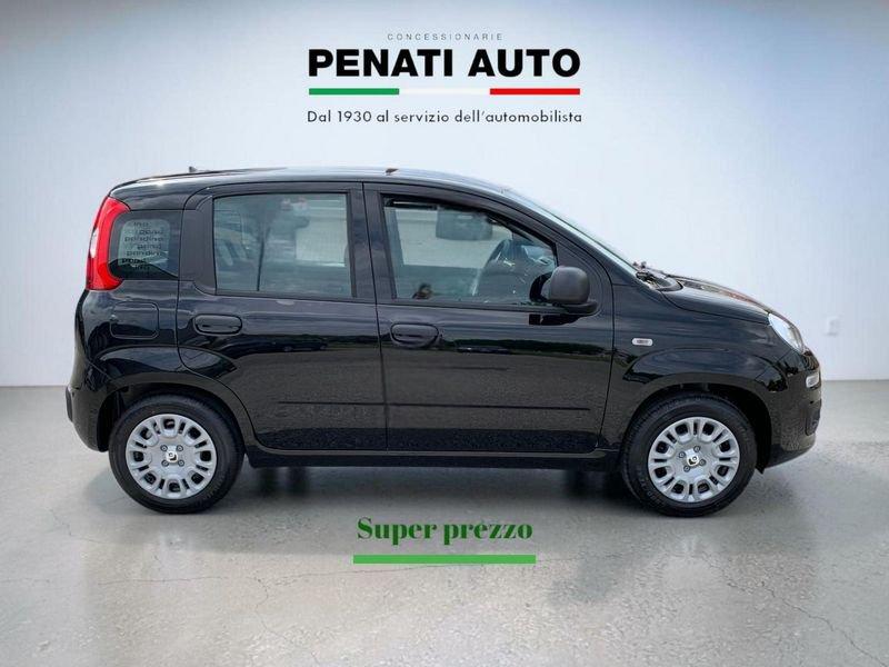 FIAT Pandina 1.0 FireFly 65cv S&S 6m Hybrid Icon