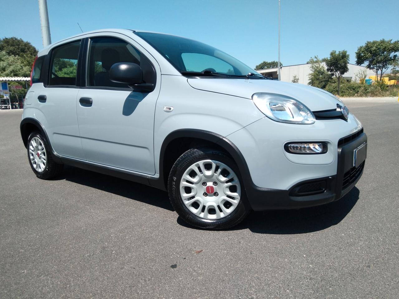 Fiat Panda 1.0 70cv FireFly S&S Hybrid x neopatentati