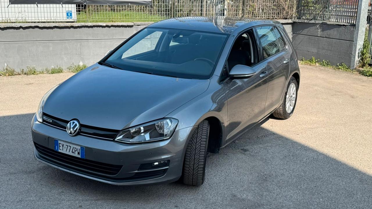 Volkswagen Golf Business 1.4 TGI 5p. Highline BlueMotion