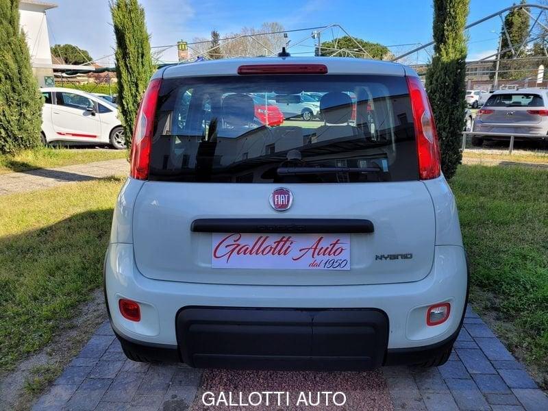 FIAT Panda 1.0 FireFly S&S Hybrid-NESSUN OBBL. FIN.