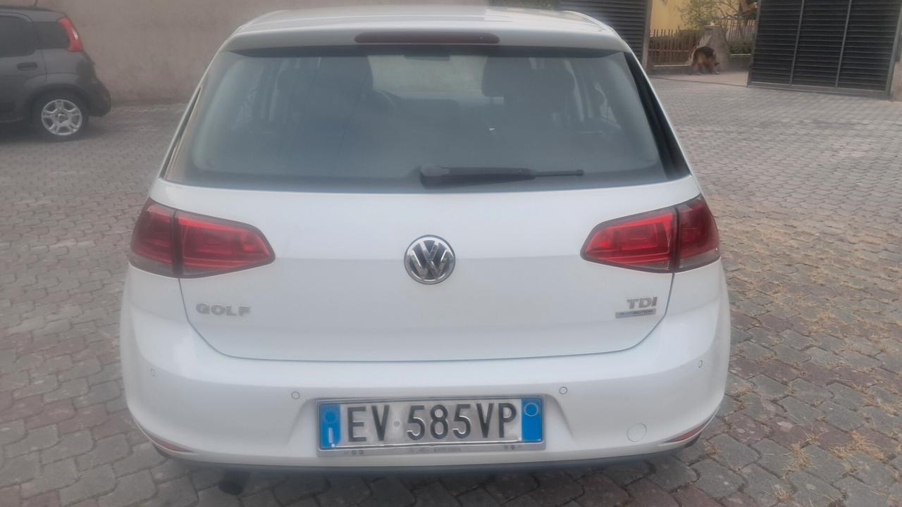 Volkswagen Golf 1.6 TDI 5p. Comfortline BlueMotion Technology