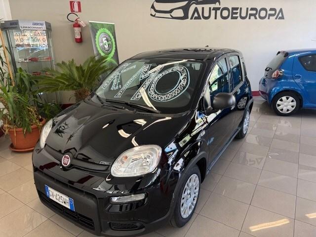 FIAT Panda 3ª serie Panda 1.0 FireFly S&S Hybrid