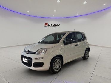 FIAT Panda 3ª serie Panda 1.2 EasyPower Easy