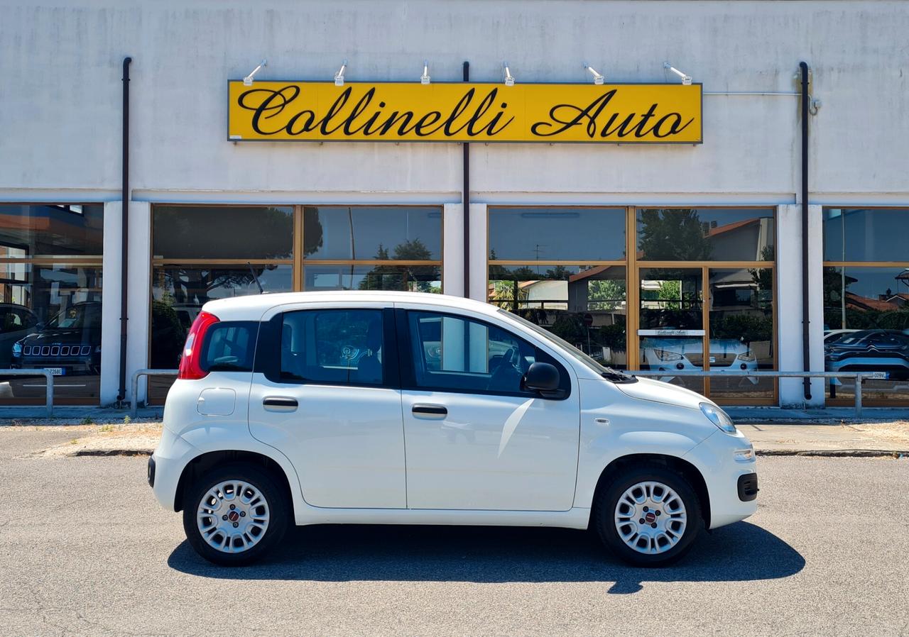 Fiat Panda 1.2 Easy 69 CV 5 Posti