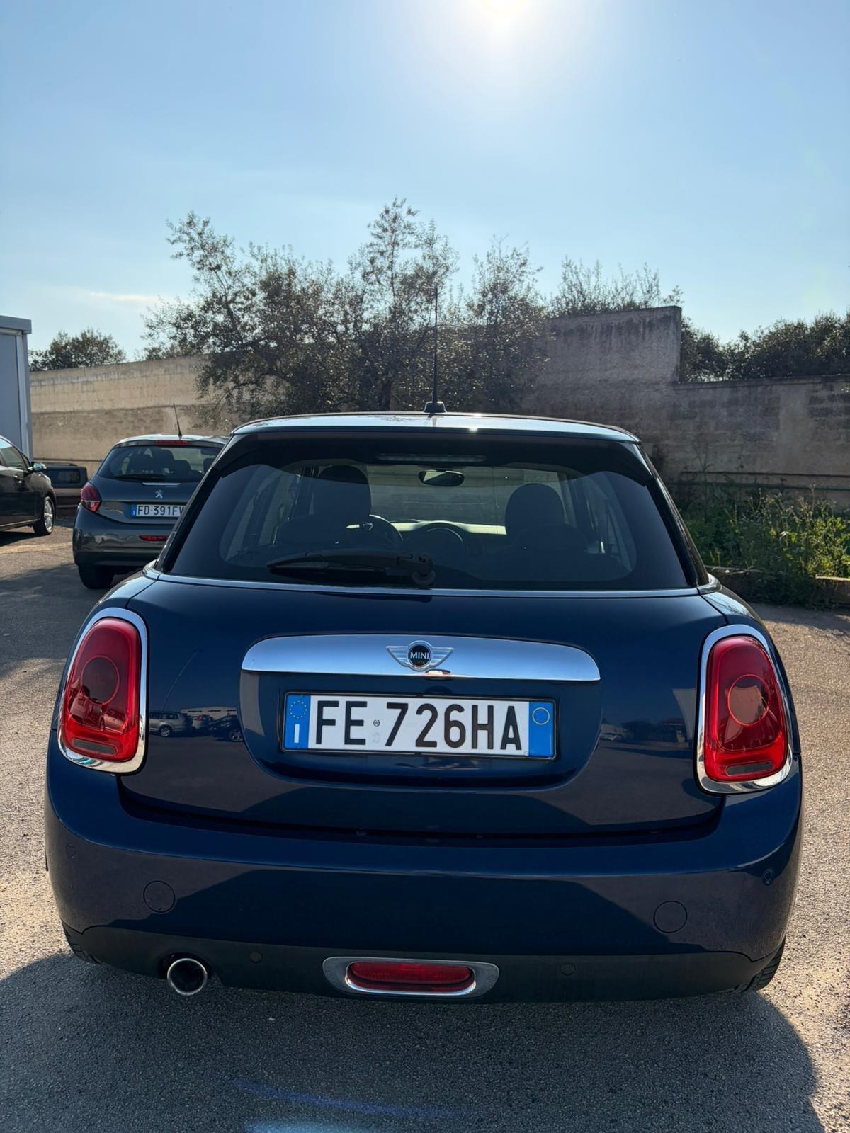 Mini 1.5 One D Hype