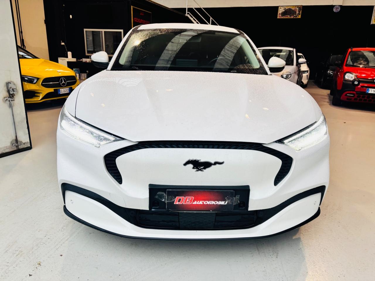 Ford Mustang Mach-E Elettrico Extended 294CV