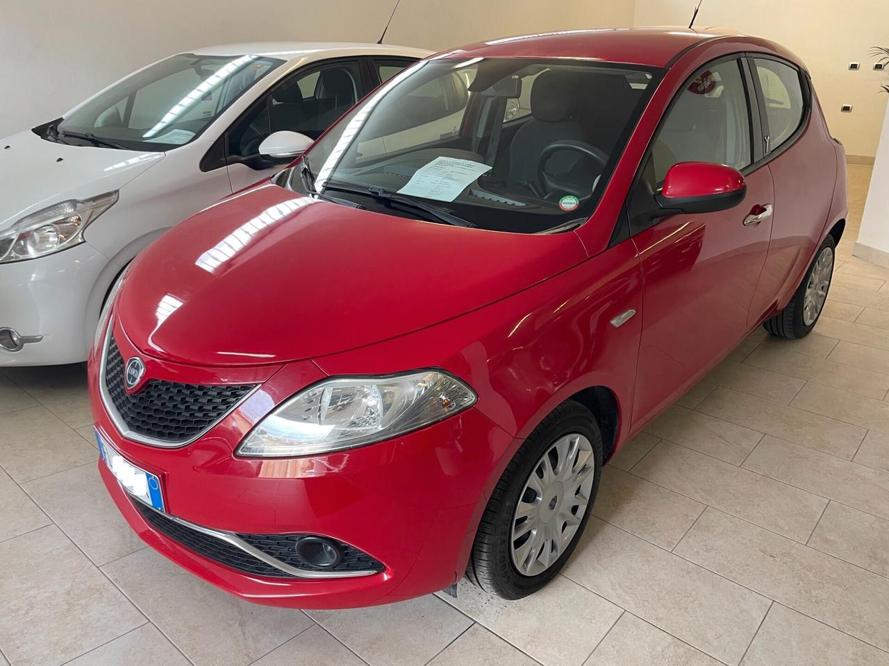 Lancia Y Ypsilon 1.2 Silver Tagliandata Distribuzione Neopatentati
