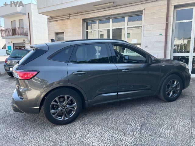 FORD Kuga 1.5 120 CV aut. 2WD ST-Line X