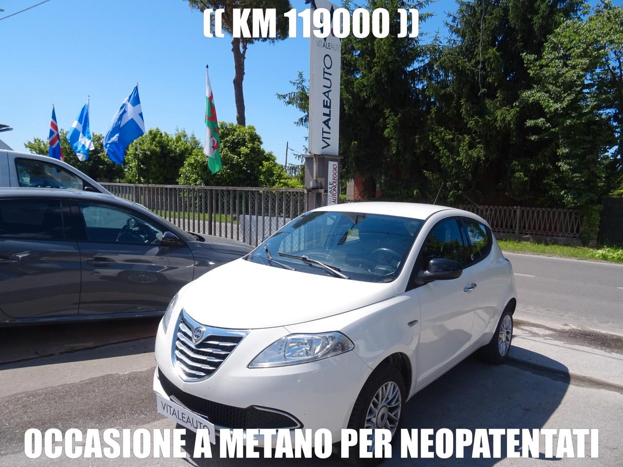 Lancia Ypsilon 0.9 TwinAir 85 Metano Ecochic Elle