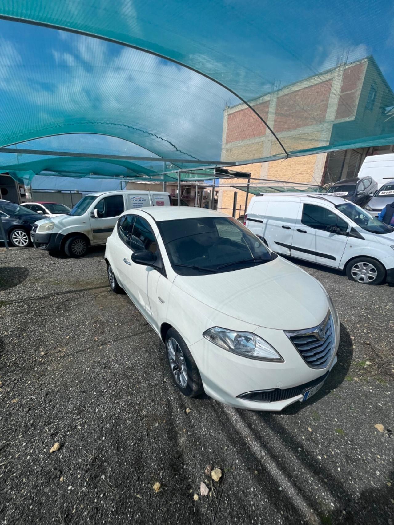 Lancia Ypsilon 1.3 MJT 16V 95 CV 5 porte S&S Platinum