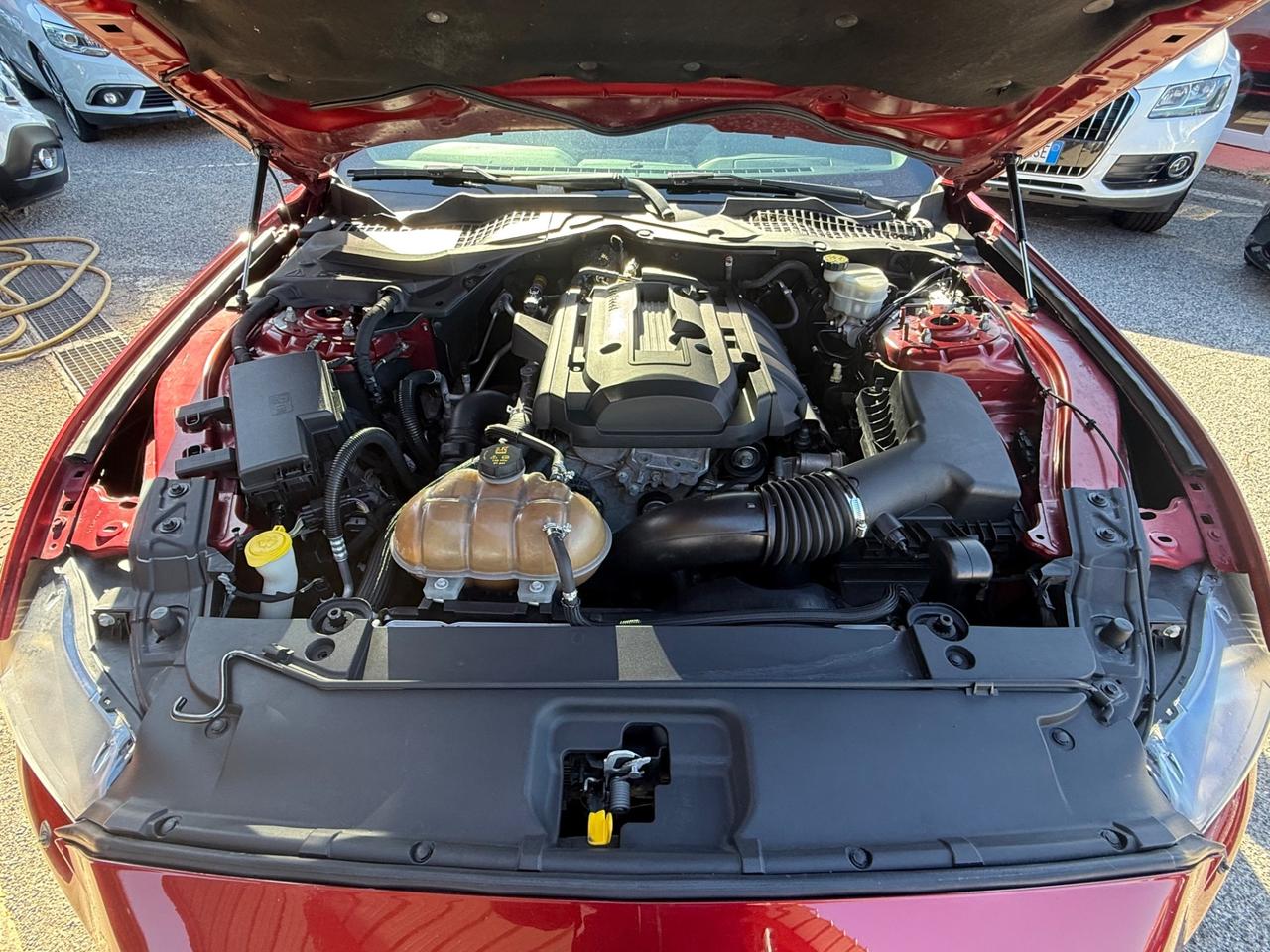 Mustang Fastback 2.3 EcoBoostunipro/rate/certificata