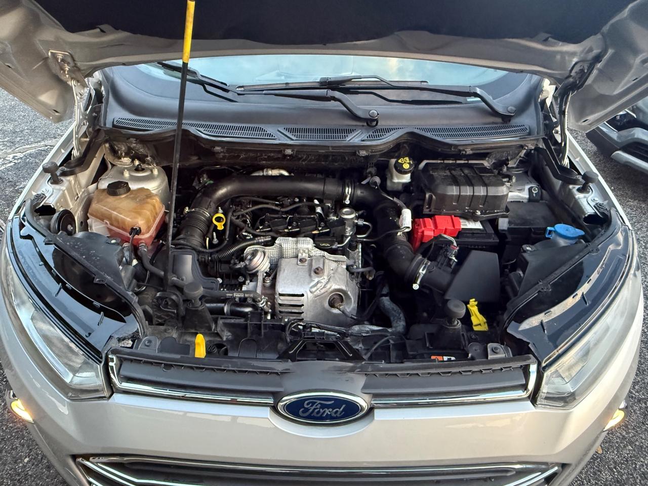 EcoSport 1.0 benzina - 125 CV-Titanium-rate-garanzia