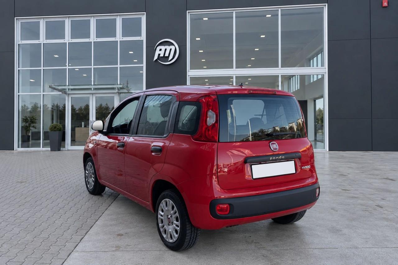 Fiat Panda 1.0 Hybrid Van 4 posti