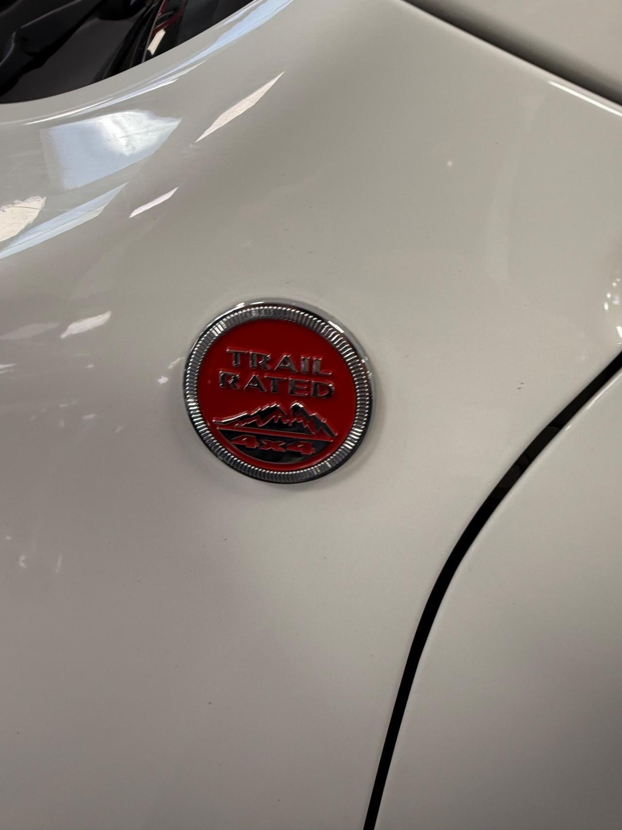 Jeep Renegade 2.0 Mjt 170CV 4WD Active Drive Low Trailhawk