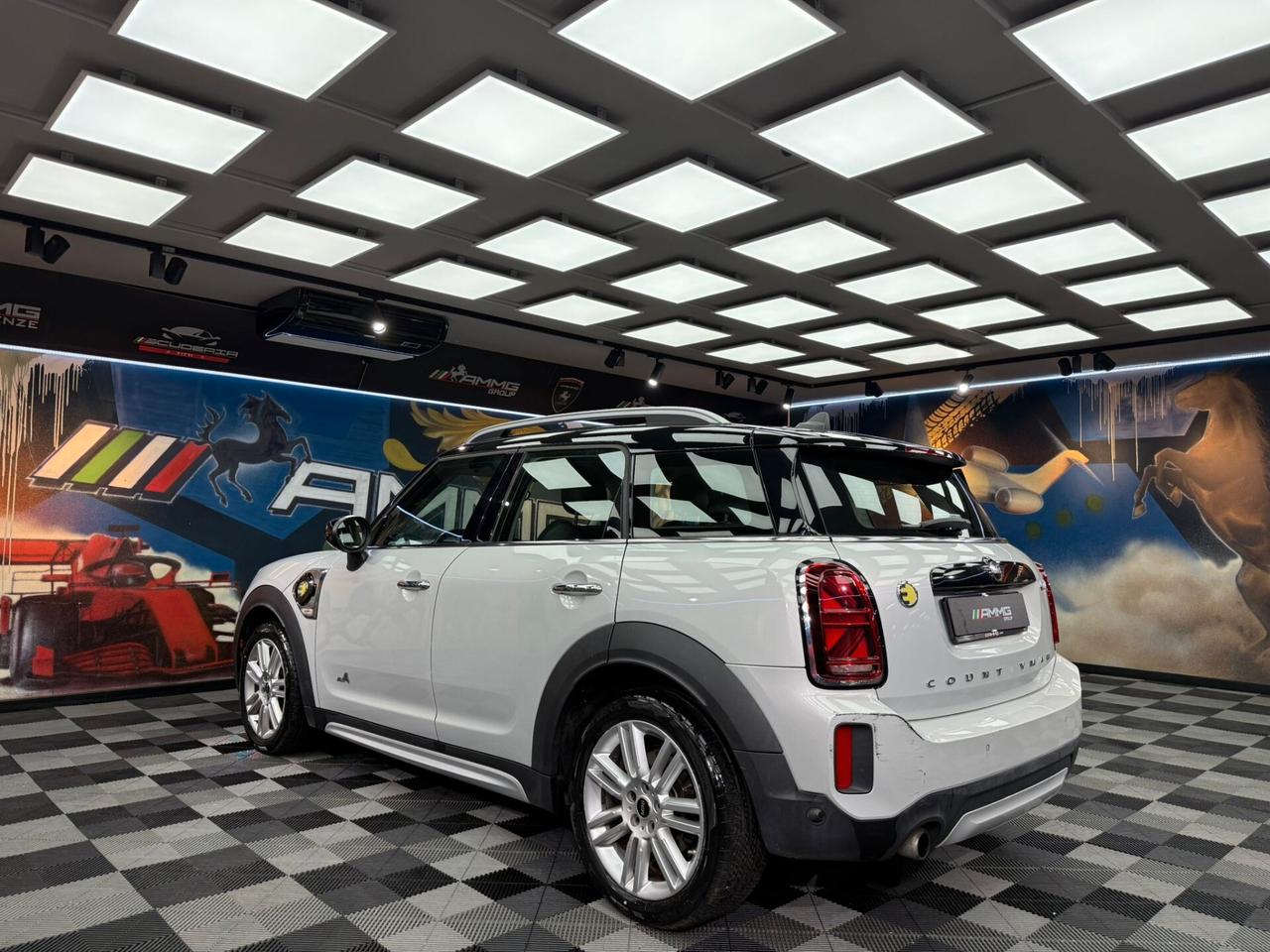 Mini Cooper 1.5 Countryman SE Hype ALL4 Automatica (314)