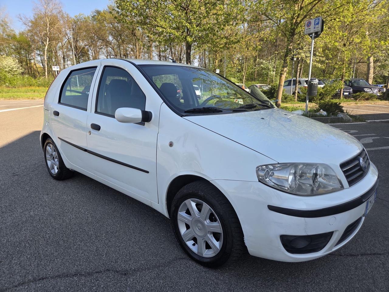 Fiat Punto 1.2 16V 5 porte Emotion* Neo patentati *