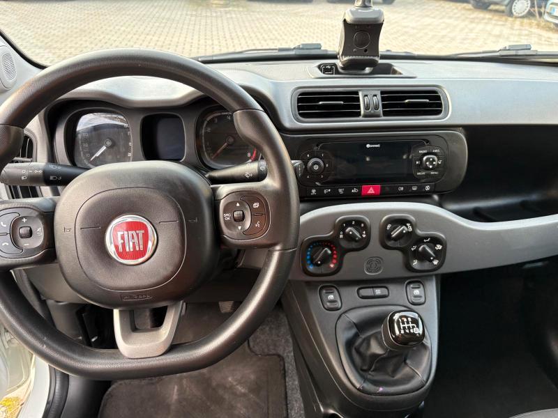 Fiat Panda 1.0 firefly hybrid City Life s&s 70cv 5p.ti