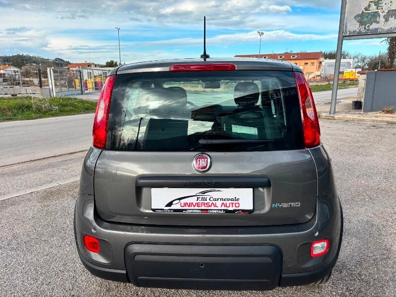 FIAT Panda 3ª serie Panda 1.0 FireFly S&S Hybrid