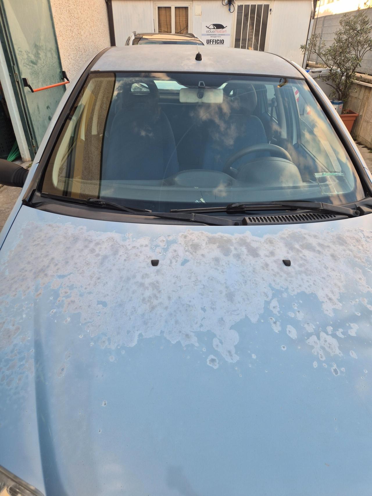 Fiat Punto 1.2 5 porte Active