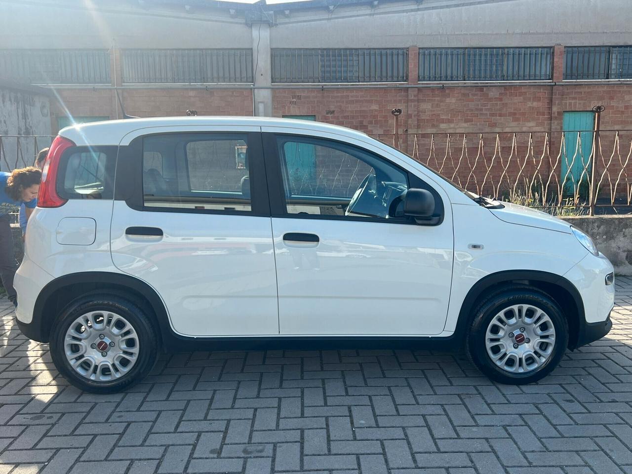 Fiat Panda 1.0 FireFly S&S Hybrid NOLEGGIO