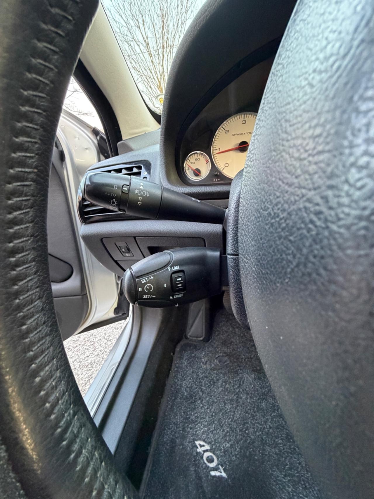 Peugeot 407 2.0 HDi aut. SW Ciel Business