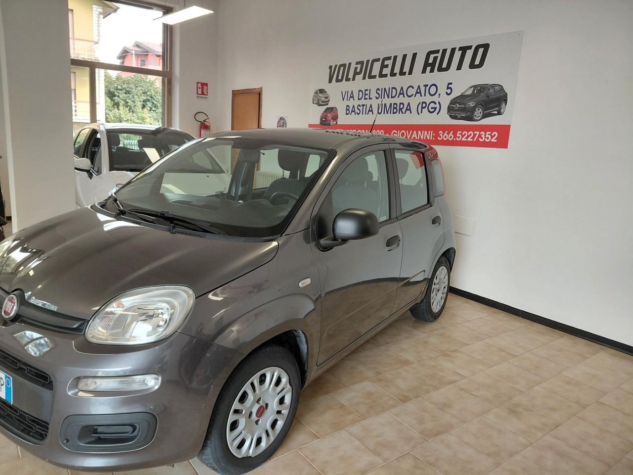 FIAT PANDA ANNO 2017 BZ 1.2 ADATTA NEOPATENTATI KM 89 MILA