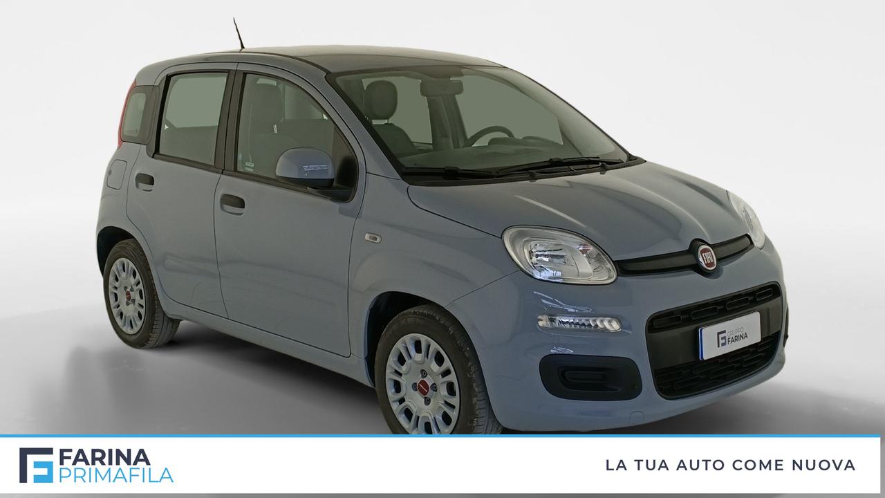 FIAT Panda III 2021 - Panda 1.0 firefly hybrid s&s 70cv