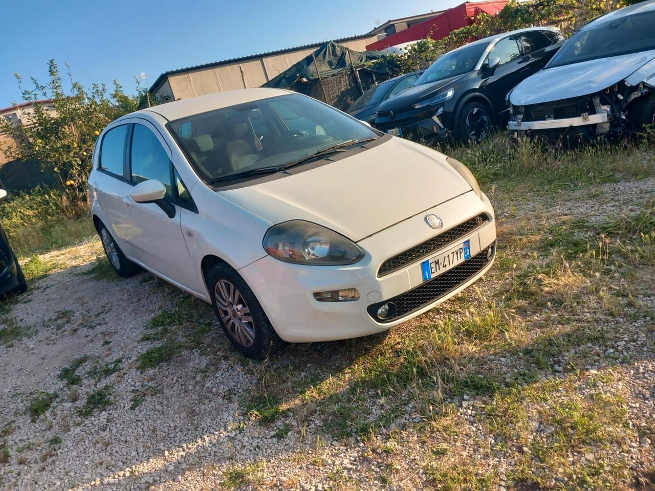 Fiat Punto Evo 1.3 Mjt 75 CV DPF 3 porte S&S Dynamic