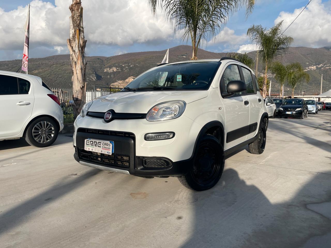 FIAT PANDA ANNO 2019 4x4 900 BENZINA *GRANDINATA