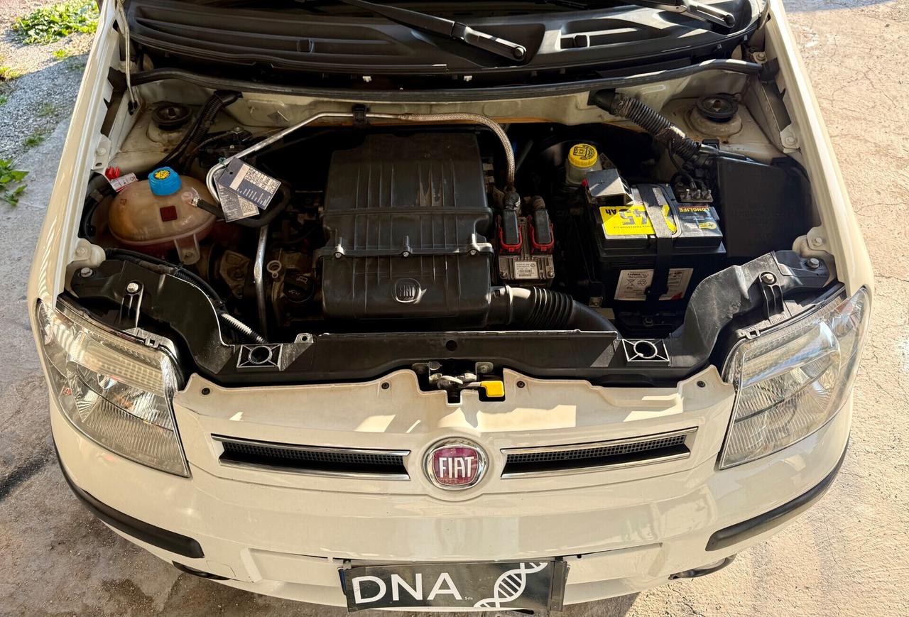 Panda Restayling 1.4 Natural Power NEOPATENTATI