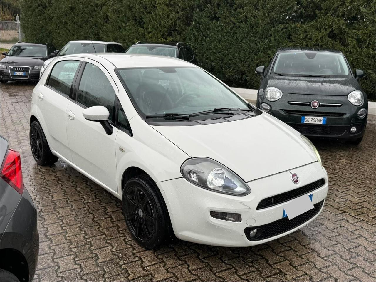 Fiat Punto Evo 1.3 Mjt 95 CV DPF 5 porte S&S Dynamic
