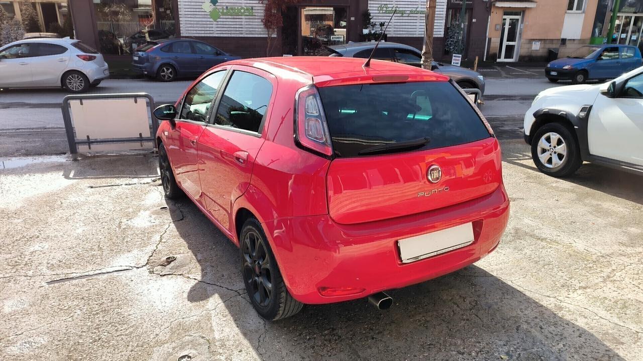 Fiat Punto 1.3 MJT 75 CV 5 porte Virgin