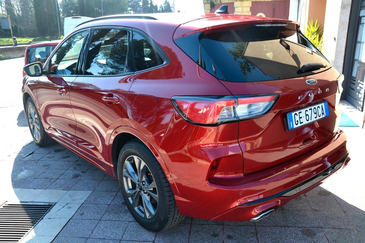 Ford Kuga 1.5 EcoBlue 120 CV 2WD ST-Line X