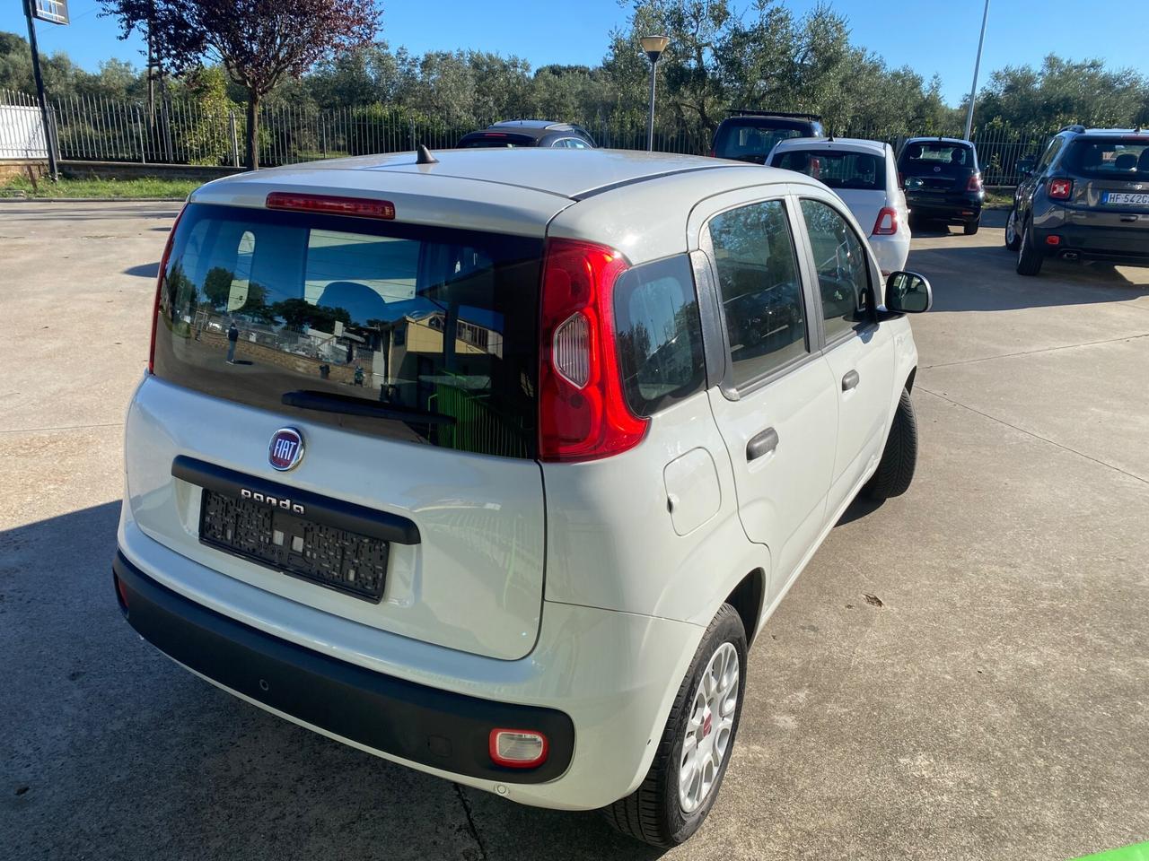 Fiat Panda 1.2 Easy PREZZO REALE SENZA VINCOLI