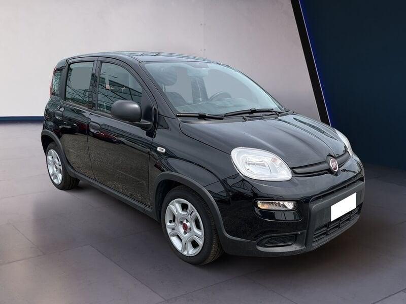 FIAT Panda My23 1.0 70cv Hybrid Panda