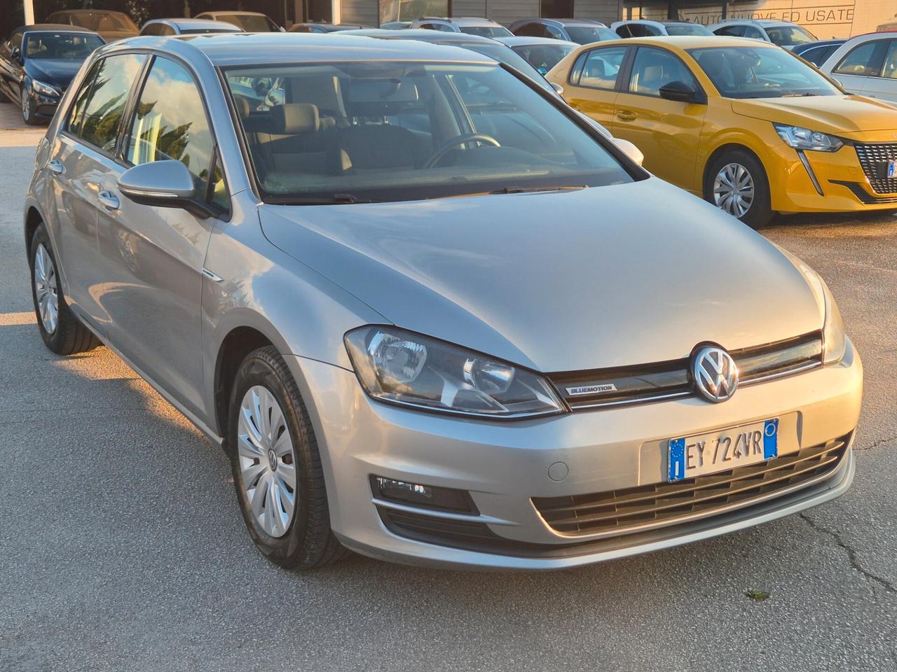Volkswagen Golf Business 1.4 TGI 5p. Comfortline BlueMotion