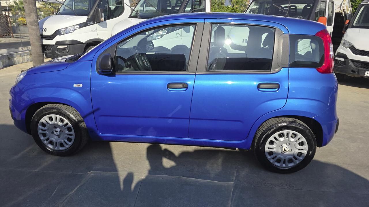 Fiat Panda 1.0 FireFly S&S Hybrid Pandina