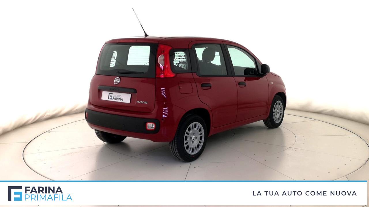 FIAT Panda III 2021 - Panda 1.0 firefly hybrid Pop s&s 70cv