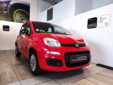 FIAT Panda 3ª serie - Panda 1.2 Easy