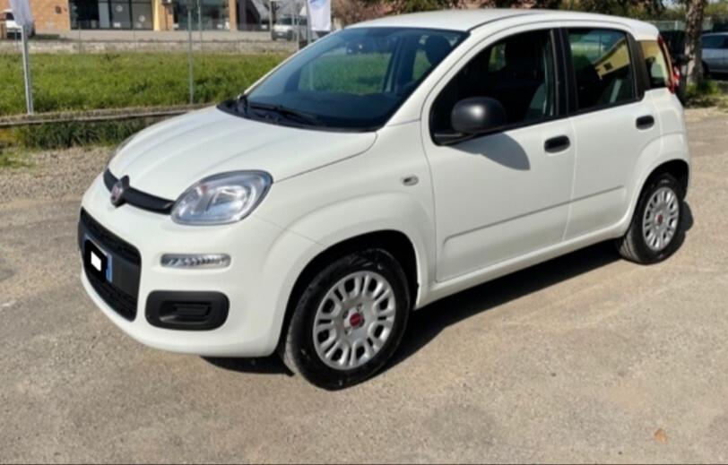Fiat Panda 1.3 MJT 95 CV S&S Lounge ok neopatentati
