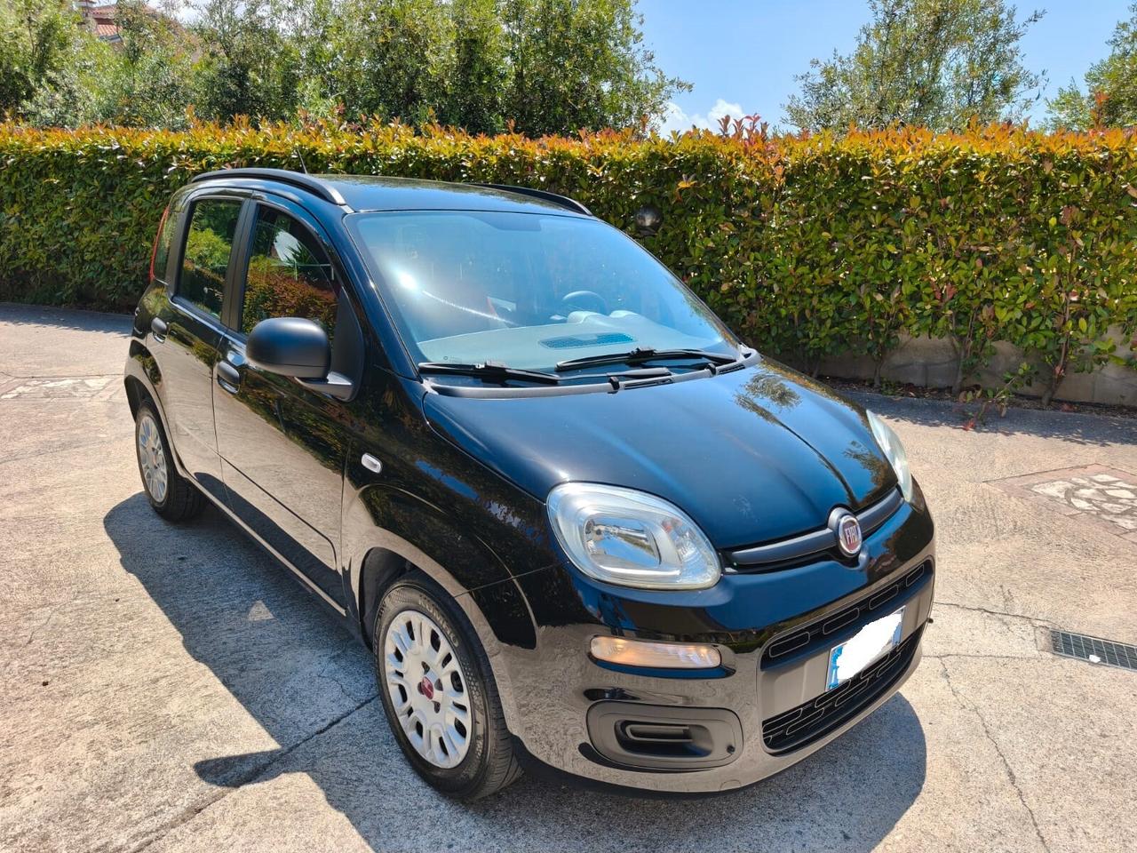 Fiat Panda 1.2 Benzina - 2015