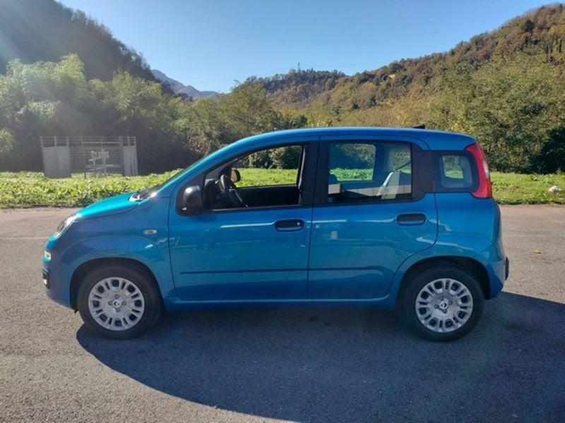 FIAT Panda Panda 1.0 FireFly S&S Hybrid Icon, Stereo Bluetooth con comandi al volante!