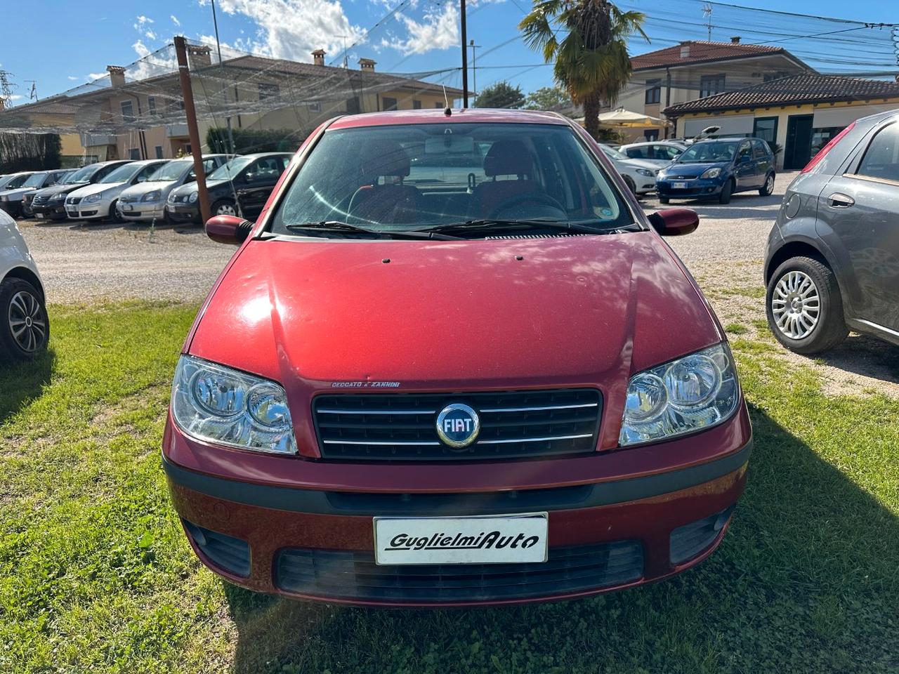 Fiat Punto 5 Porte Punto 5p 1.2 Dynamic Automatica