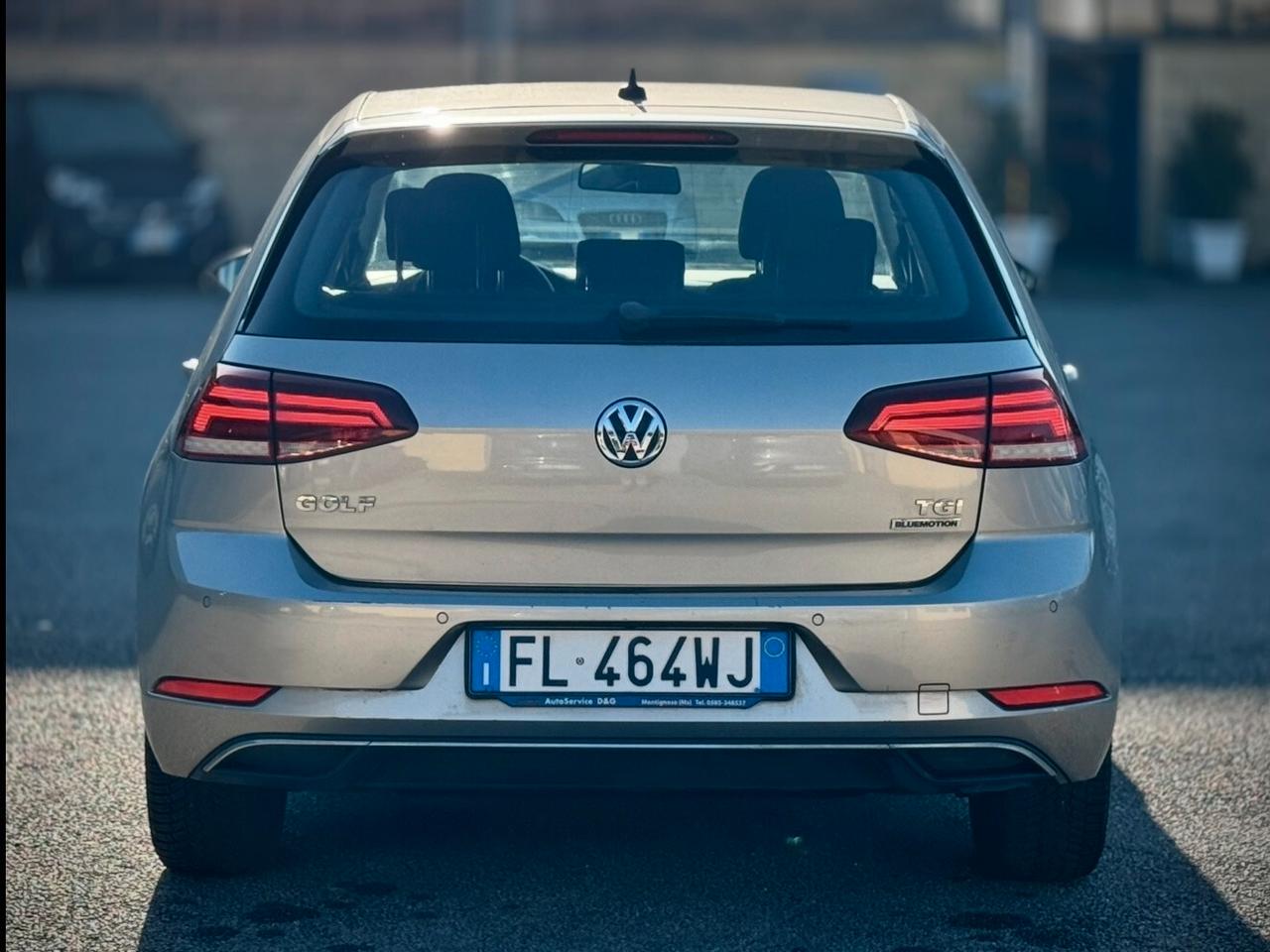 Volkswagen Golf 1.4 TGI 5p. Executive BlueMotion