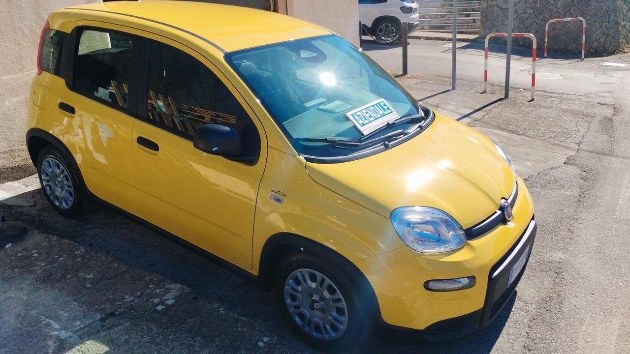 Fiat Panda 1.0 FireFly S&S Hybrid