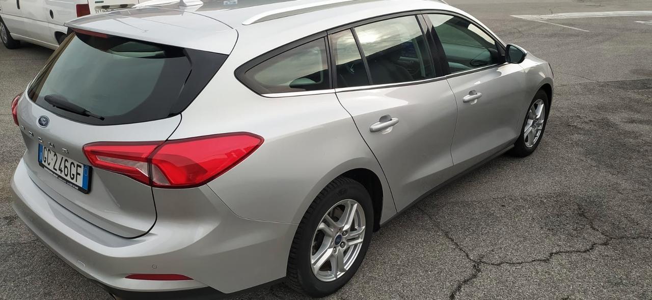 Ford Focus 1.5 EcoBlue 120 CV automatico SW Business Co-Pilot