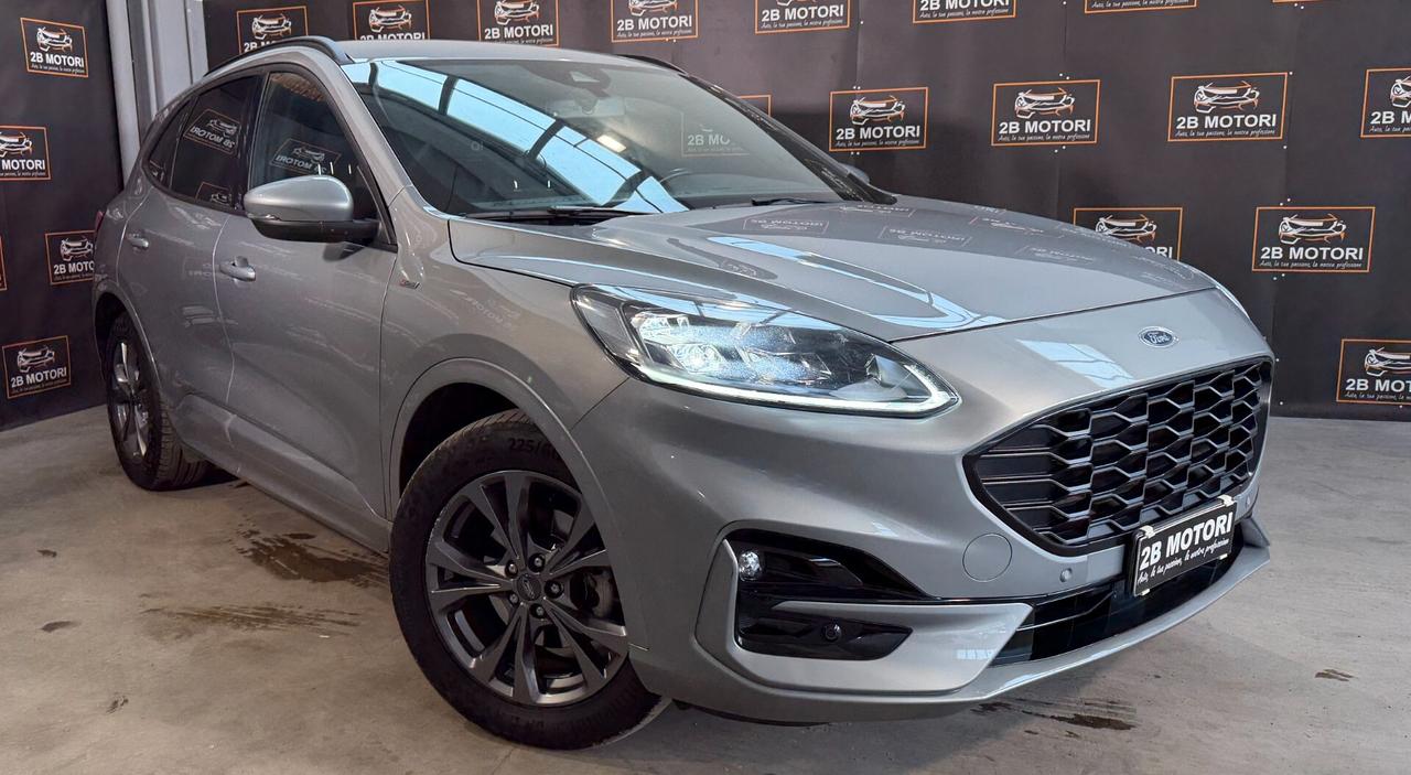 Ford Kuga 1.5 EcoBlue 120 CV aut. 2WD ST-Line
