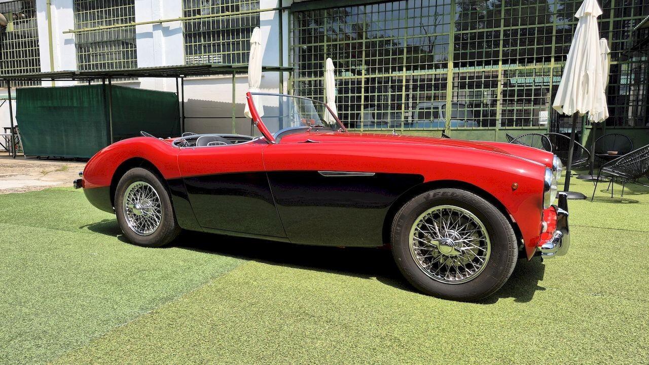 Austin-Healey 100 BN1 – 1954 - SUMMER PRICE